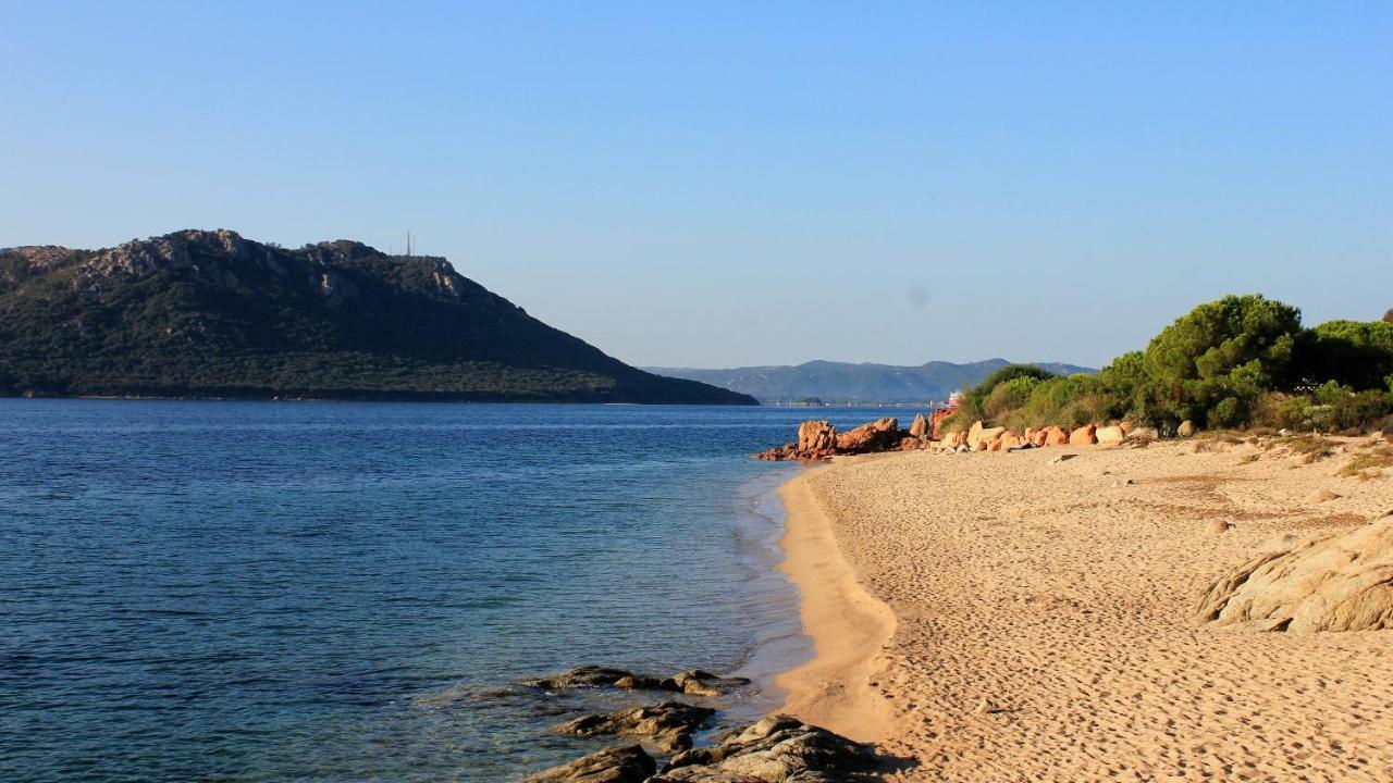 Villas Cala Corsa - 3 Et 4 Chambres - Cala Rossa Porto-Vecchio - Villas Entierement Climatisees Avec Piscine Chauffee Partagee Et Piscines Privees - Internet Gratuit Ngoại thất bức ảnh